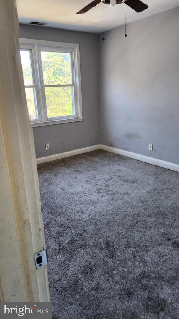 1024 Wicklow Road photo 21