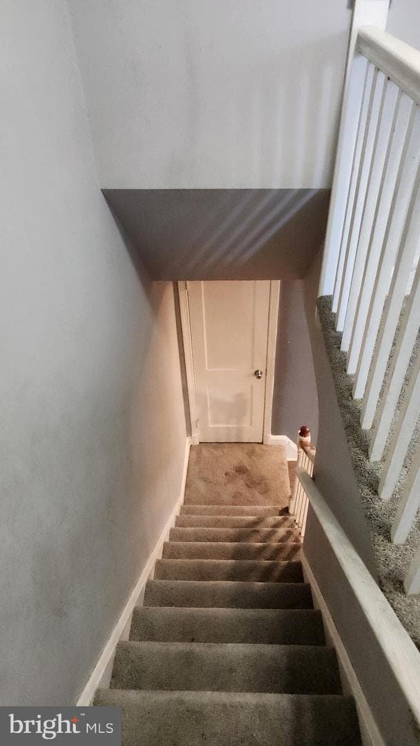 1024 Wicklow Road photo 29