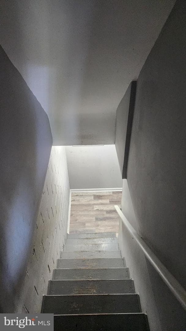 1024 Wicklow Road photo 30