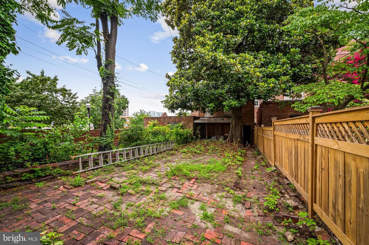 1431 Park Avenue photo 49