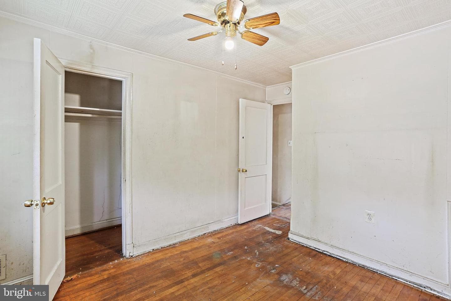 1108 Anglesea Street photo 16