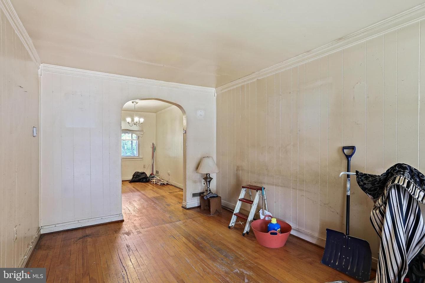 1108 Anglesea Street photo 6