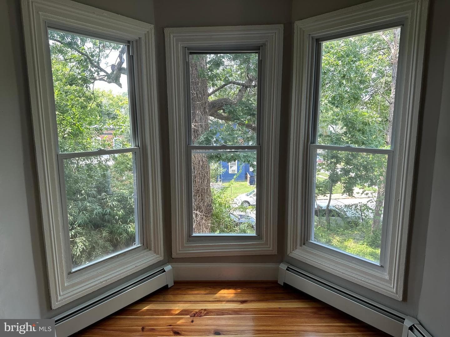 907 Homestead Street photo 14