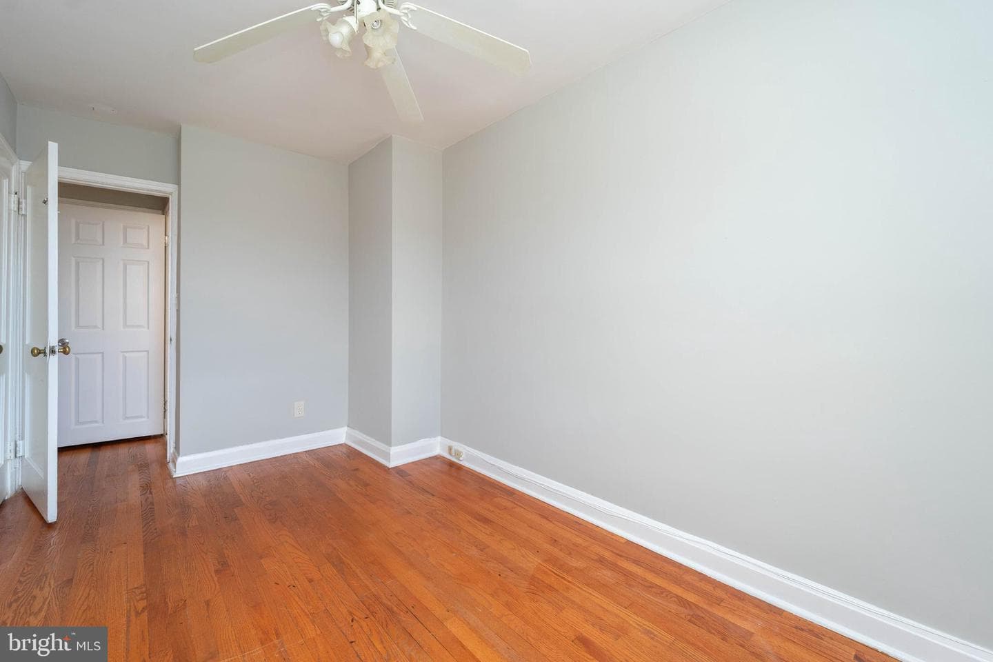 3733 Elmora Avenue photo 21