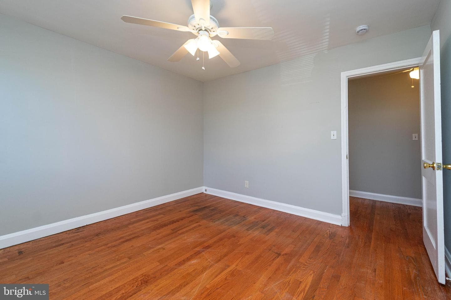 3733 Elmora Avenue photo 25