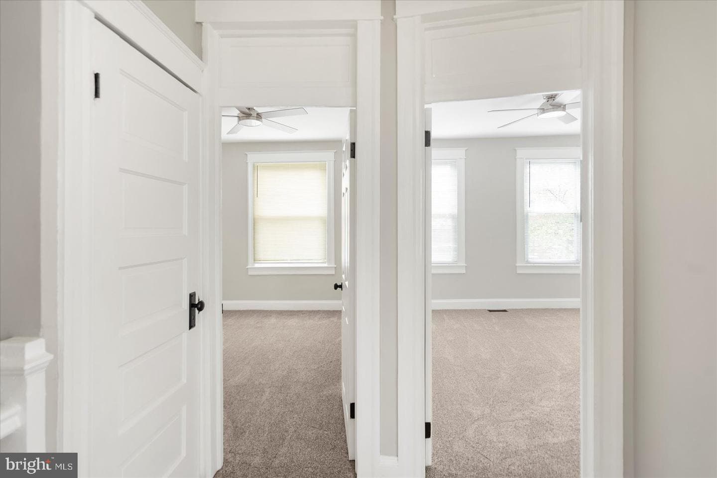 319 Lyndhurst Street photo 23