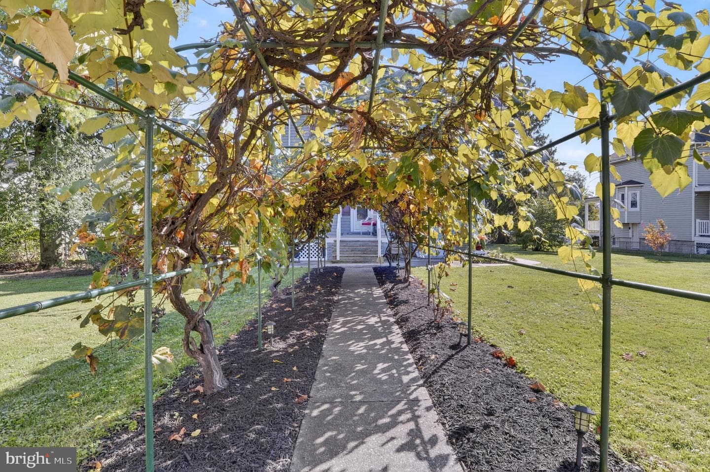 4500 White Avenue photo 23