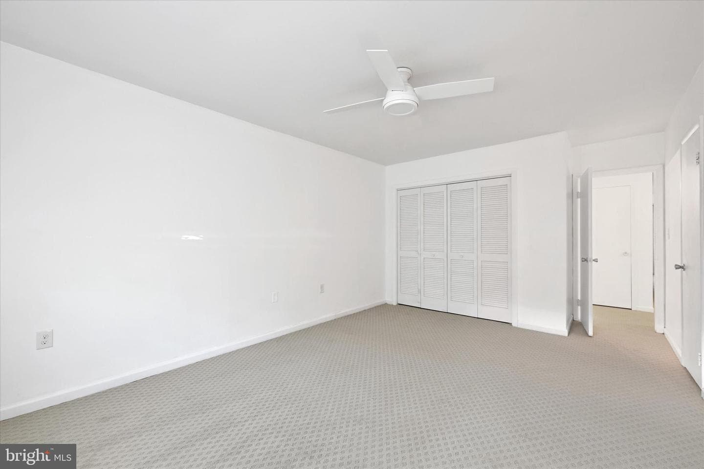 21 Hamill Road #21a photo 5