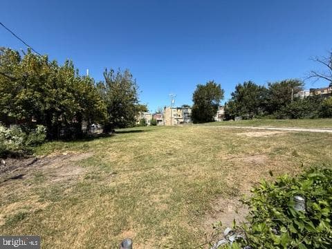 1718 Lorman Street photo 15