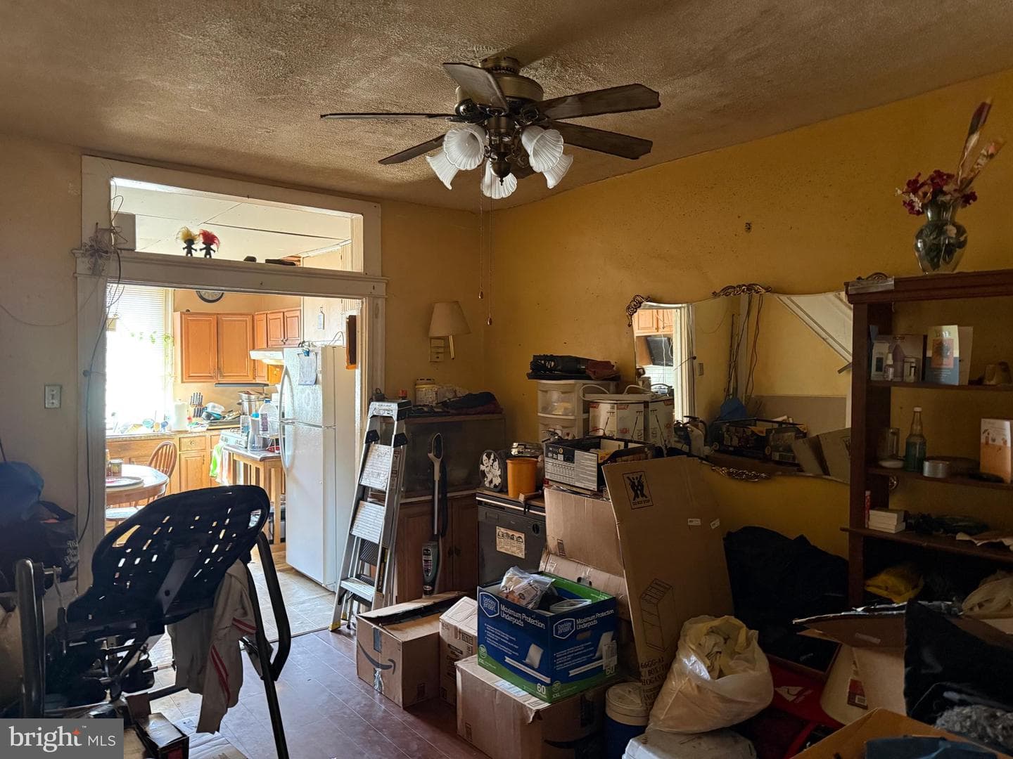 429 Ilchester Avenue photo 4