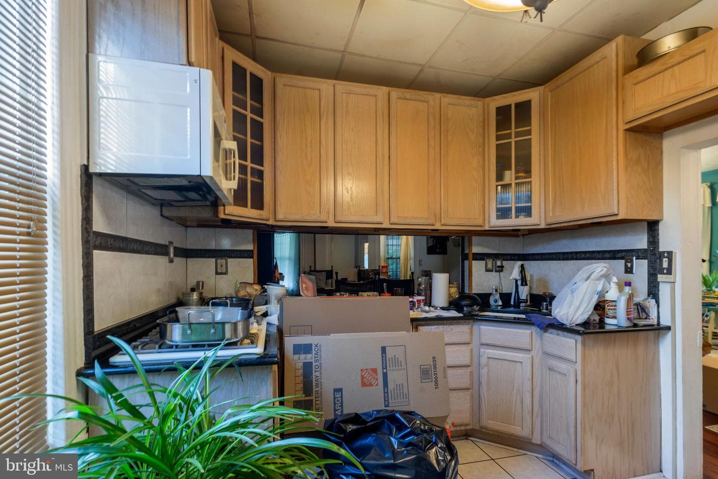 4211 Springwood Avenue photo 7