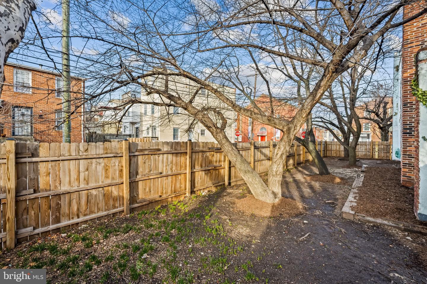 602 Scott Street photo 30