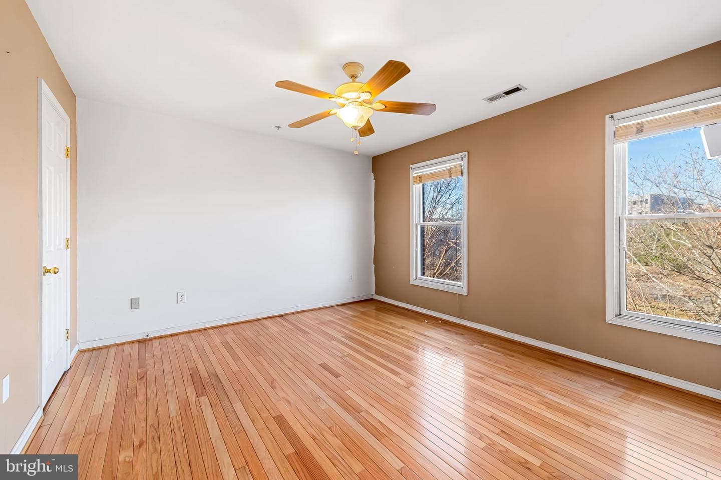 252 Robert Street photo 26