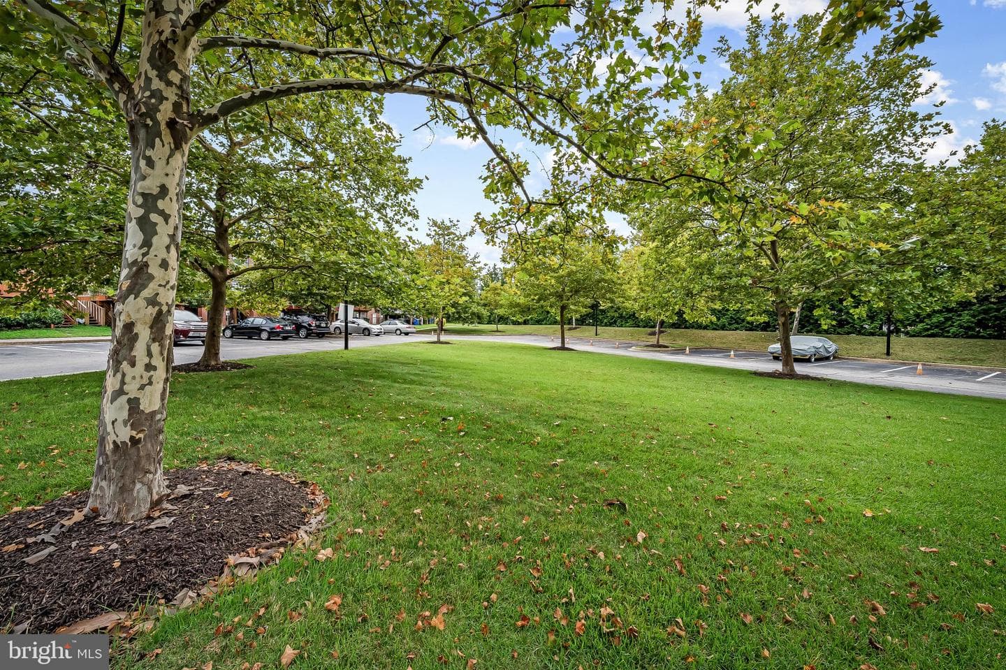 252 Robert Street photo 48