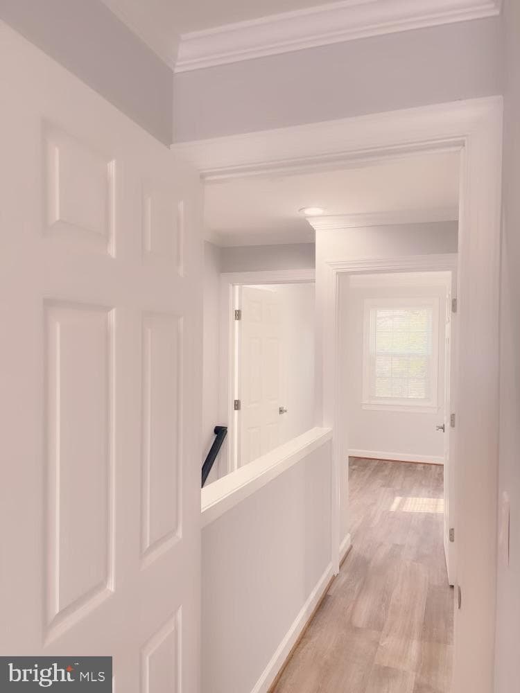 506 E Patapsco Avenue photo 21