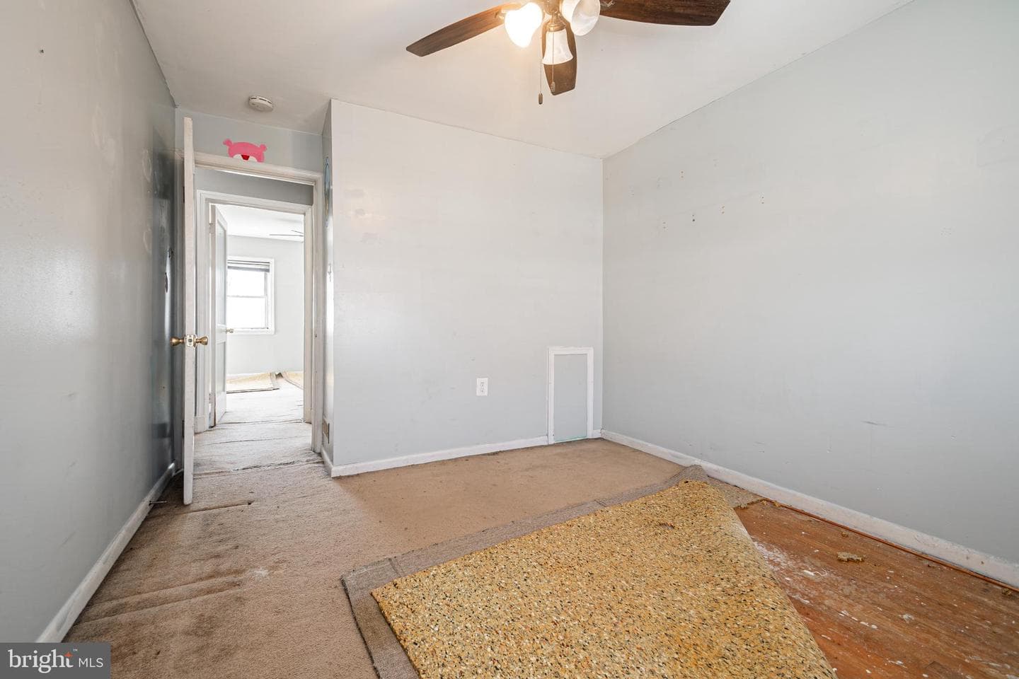 1217 Anglesea Street photo 13