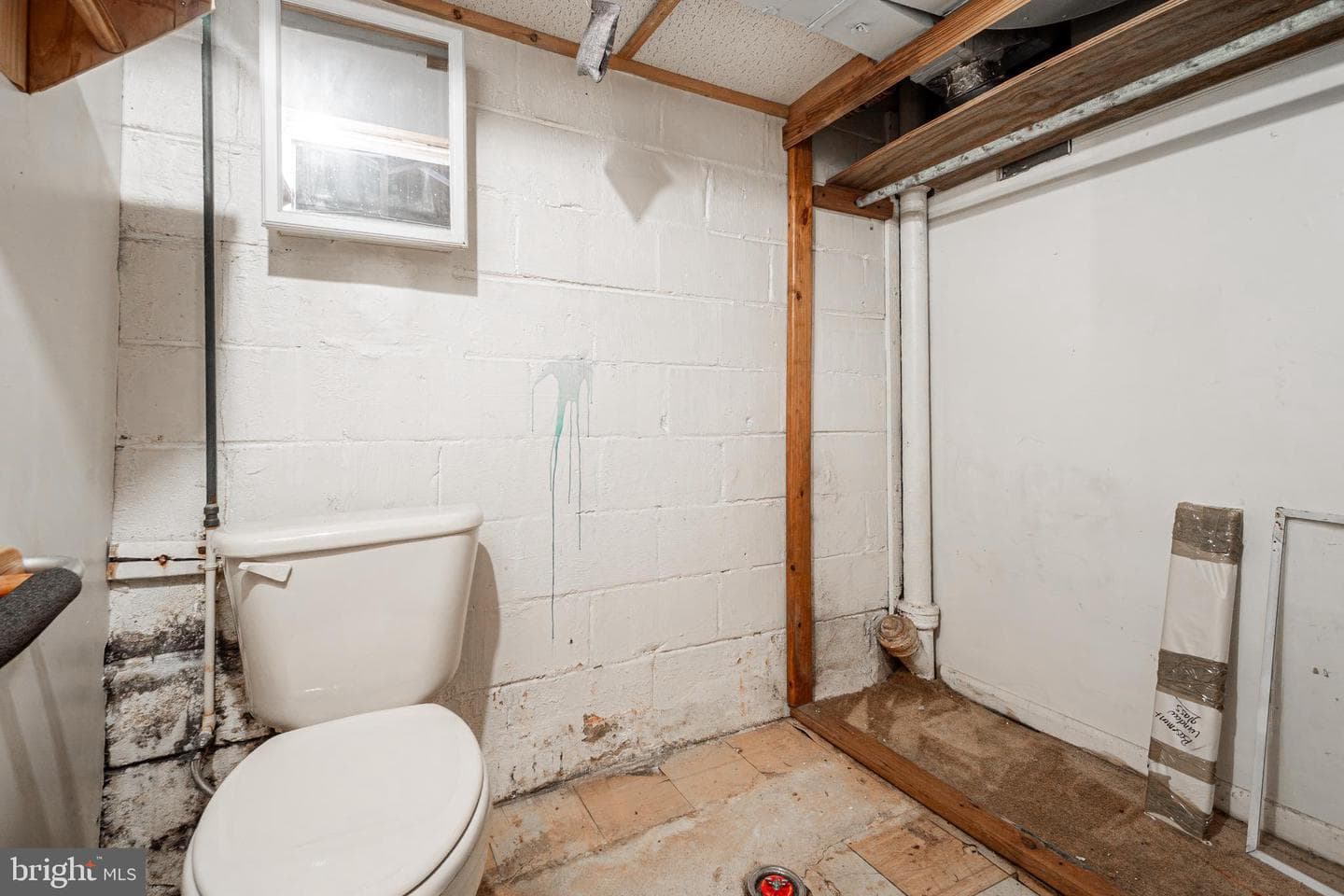 1217 Anglesea Street photo 21