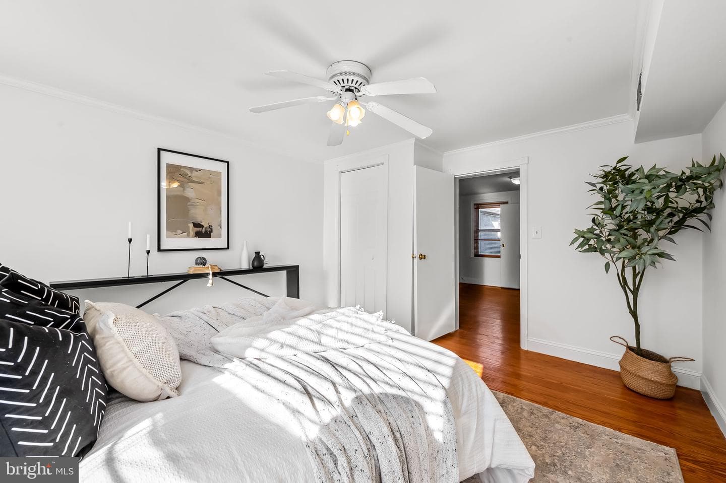 2234 Fleet Street photo 11