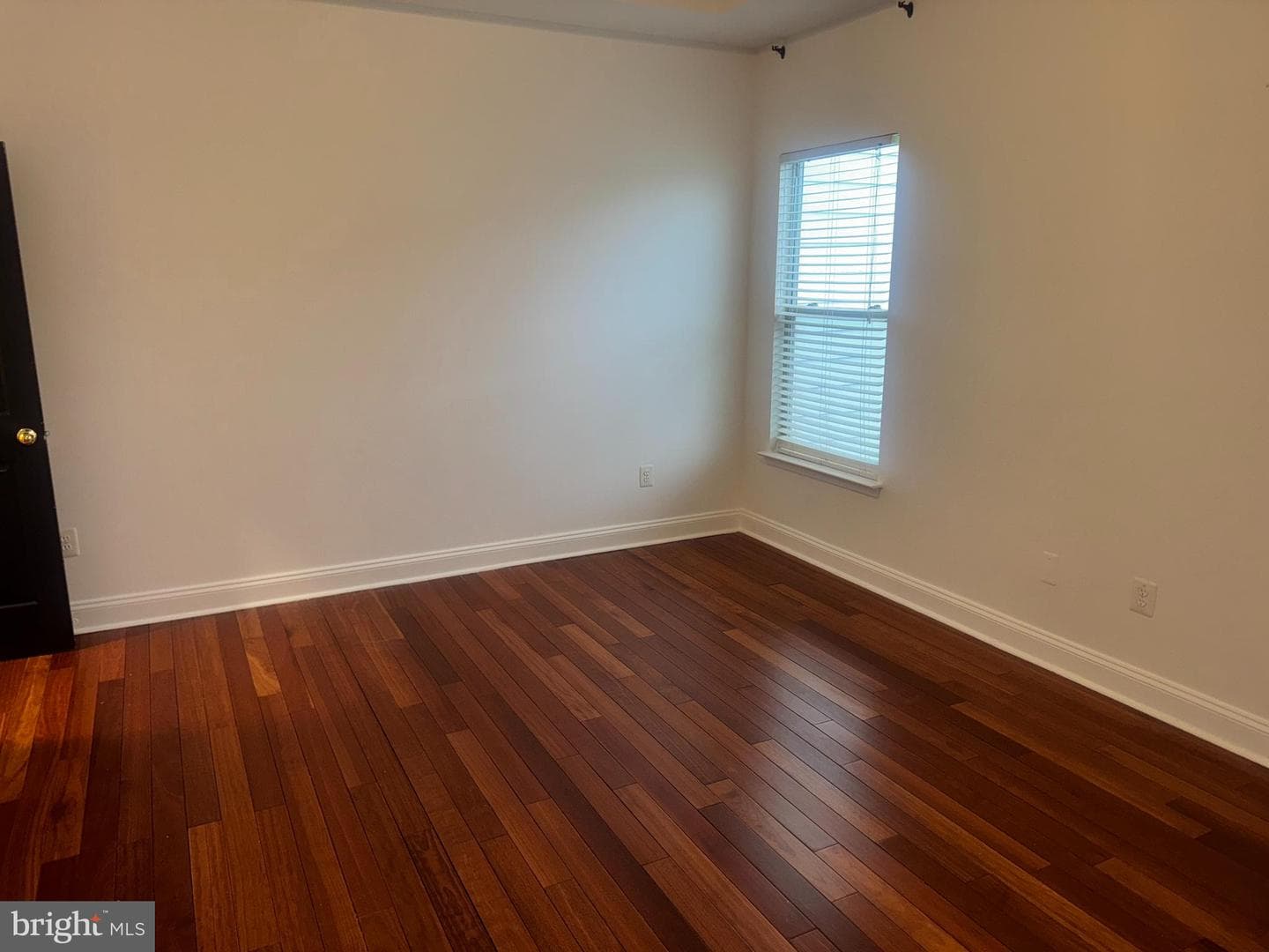 127 Albemarle Street #36 photo 16