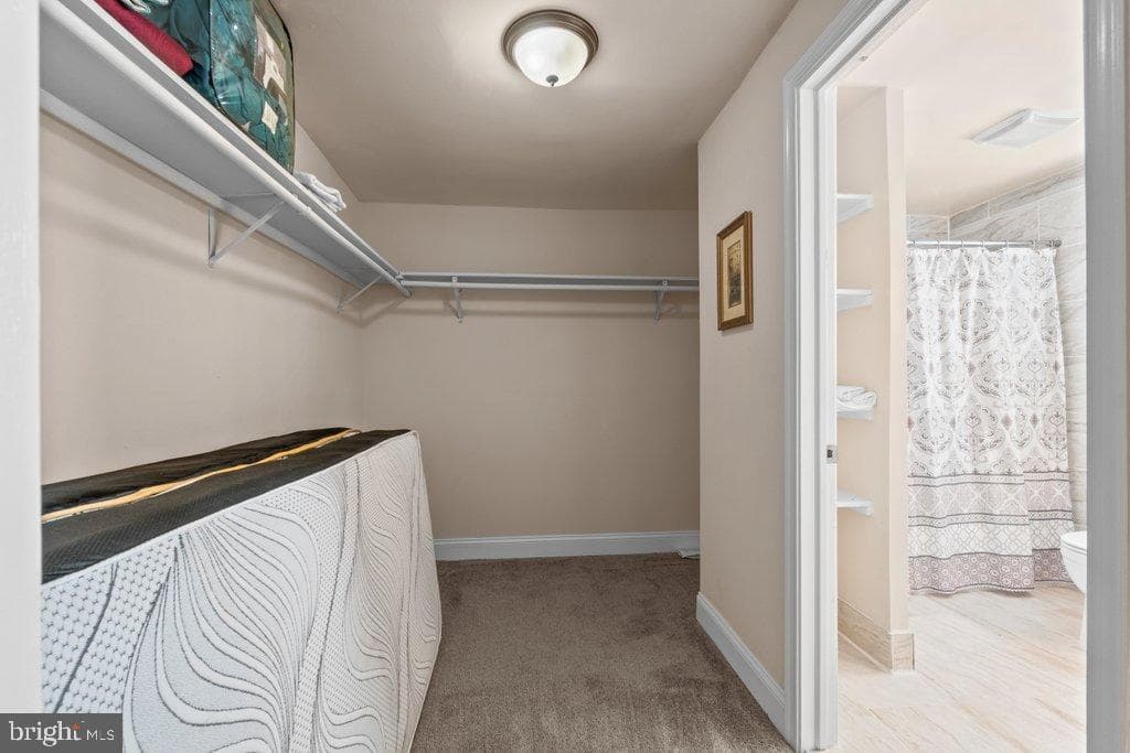 4919 Harford Road photo 32