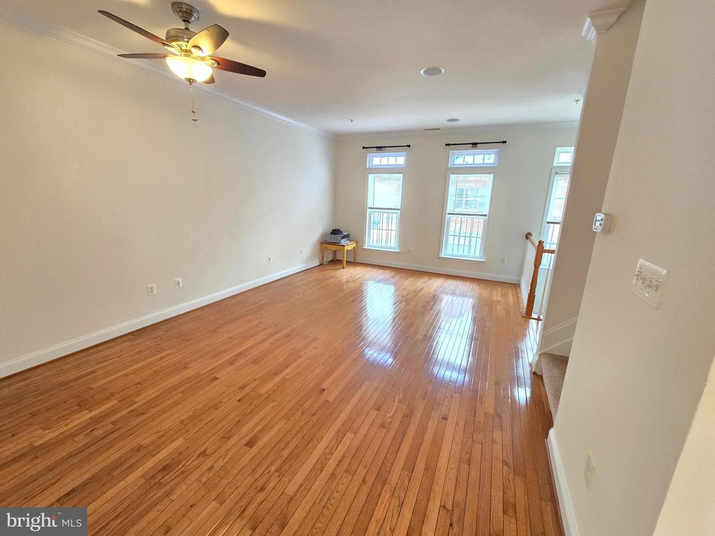 876 Ryan Street photo 14