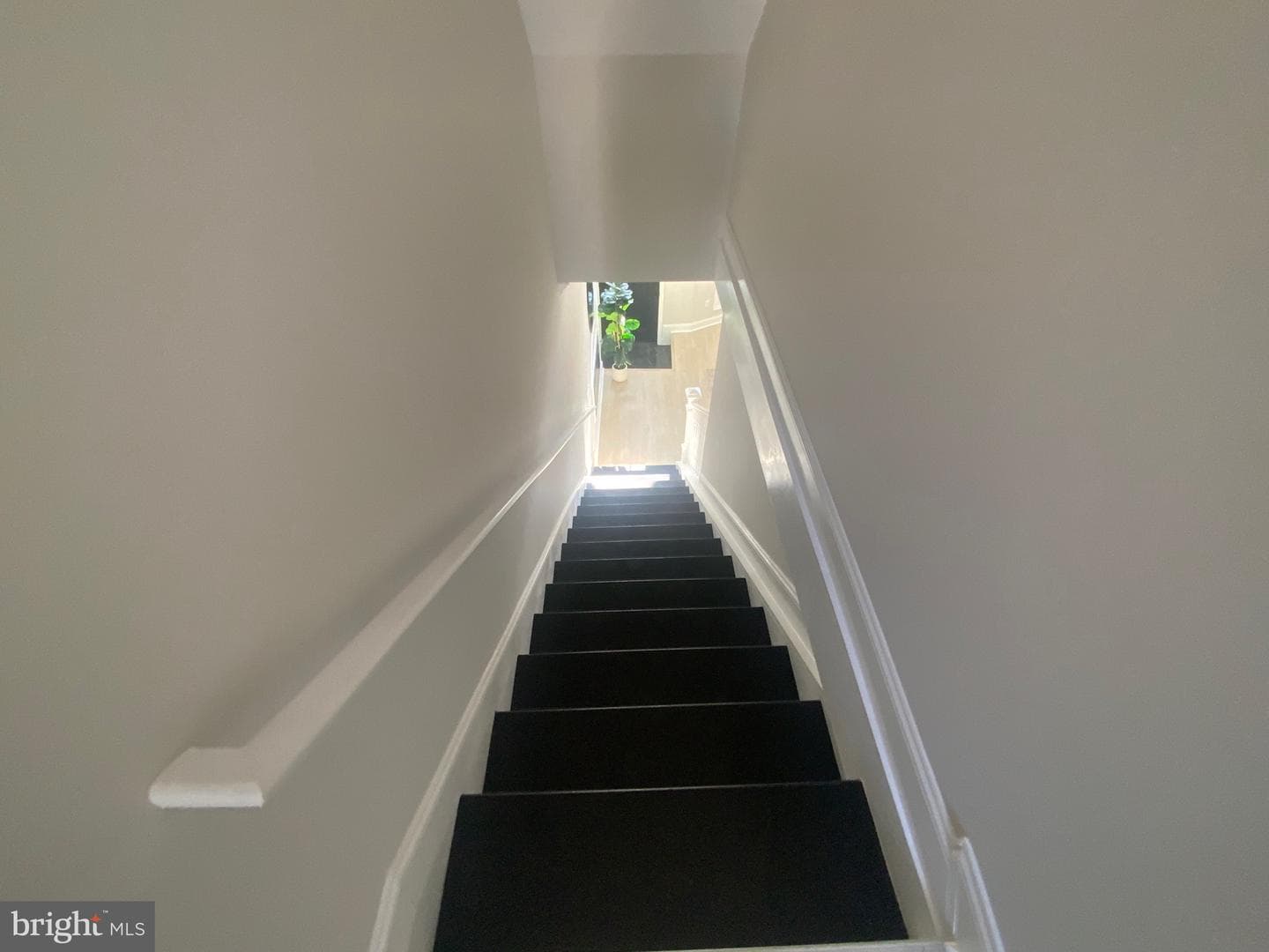 2141 Druid Hill Avenue photo 48