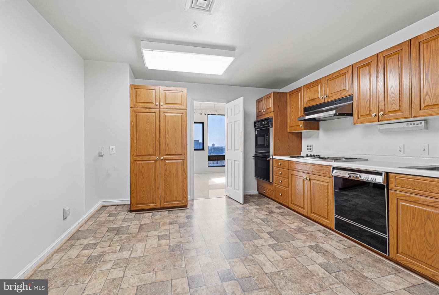 10 E Lee Street #1801 photo 15