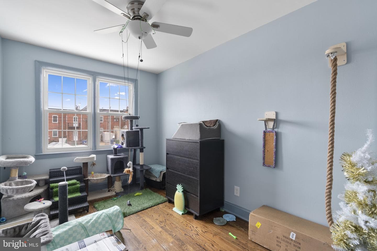 514 Umbra Street photo 22