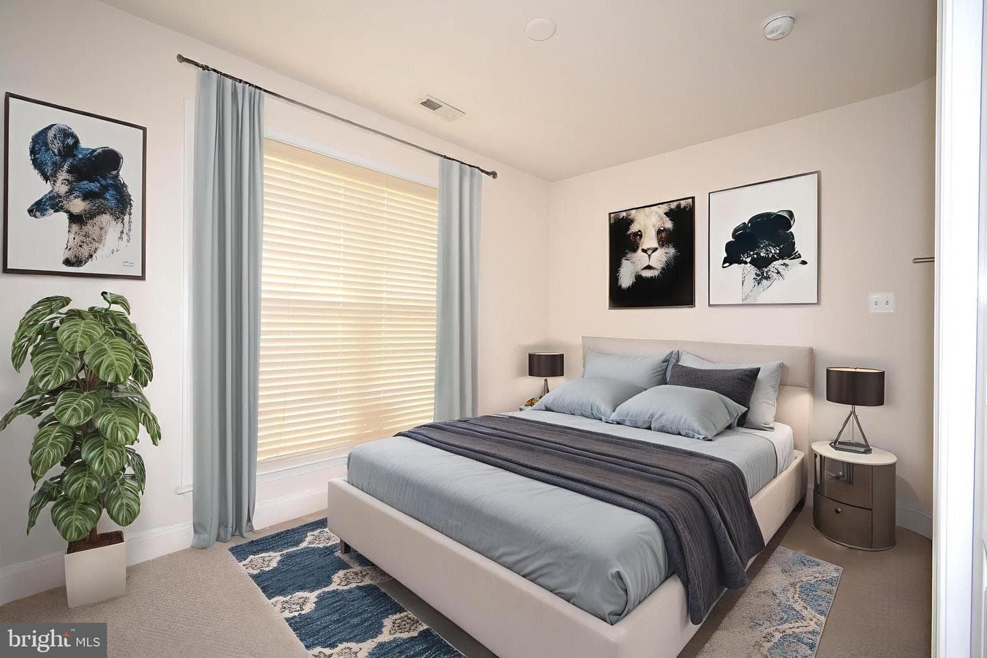 877 Ryan Street photo 15
