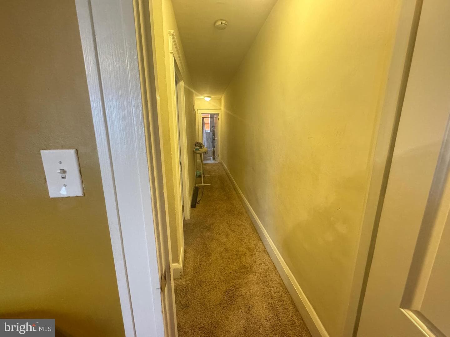 3123 Shannon Drive photo 34