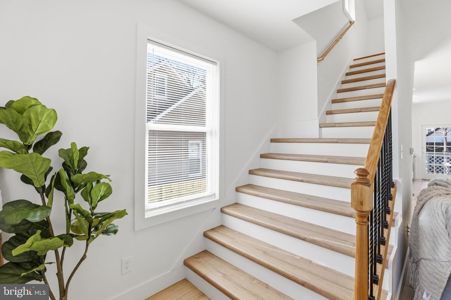 4502 Mannasota Avenue photo 19