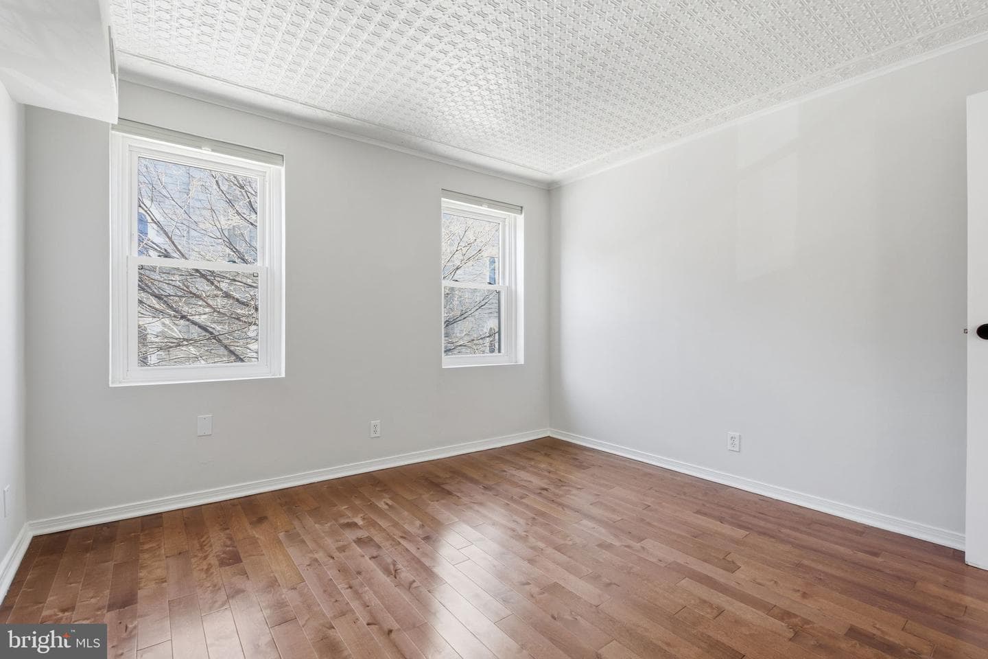 411 S Chester Street photo 17