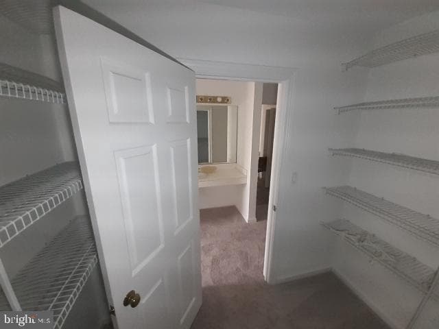 10 E Lee Street #1002-1003 photo 40