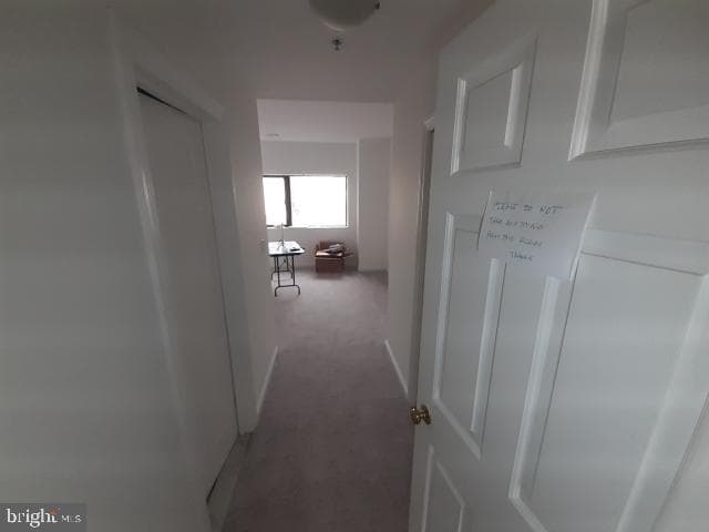 10 E Lee Street #1002-1003 photo 44