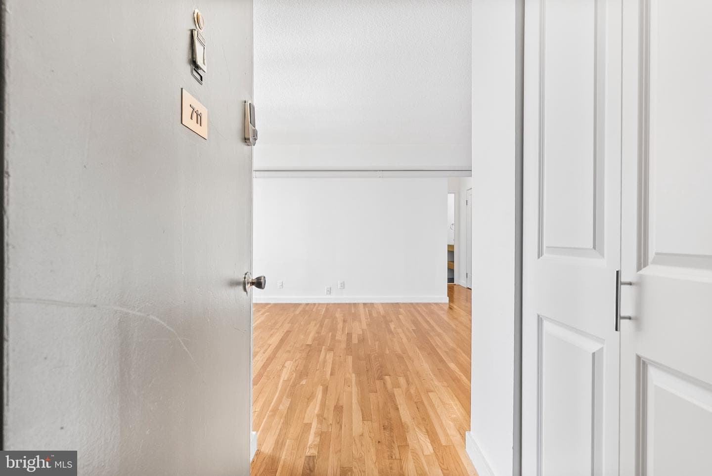 1101 Saint Paul Street #711 photo 2