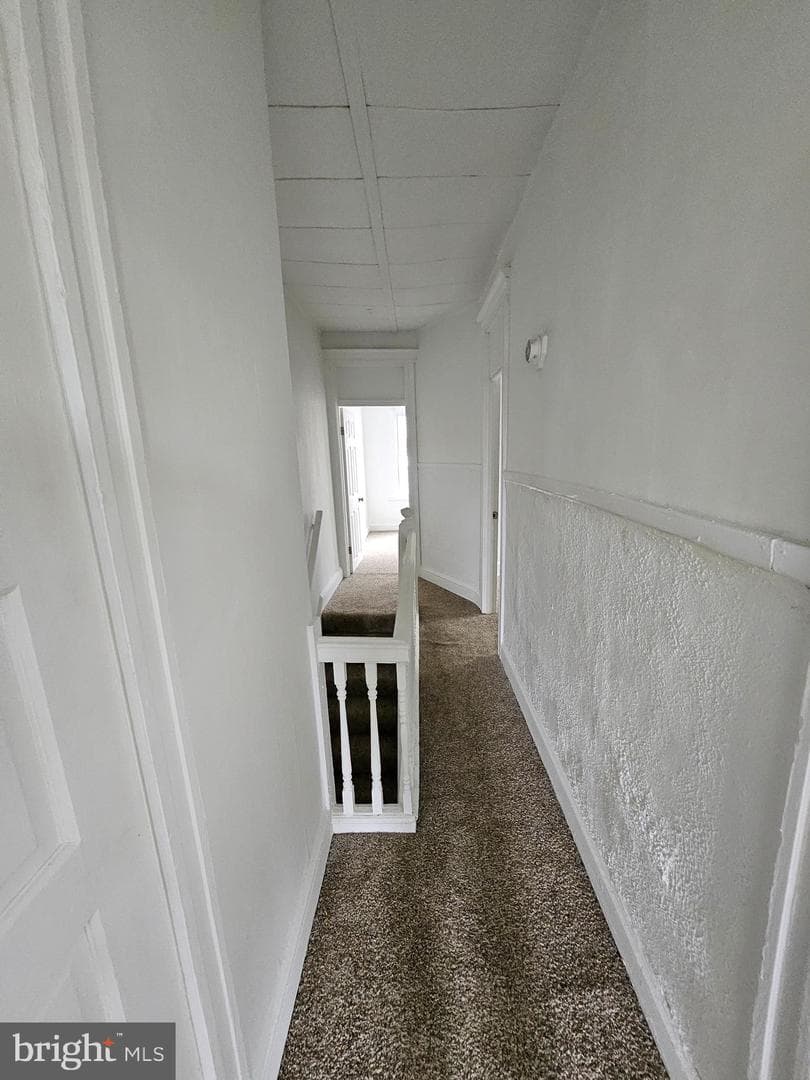 3141 Elmora Avenue photo 9