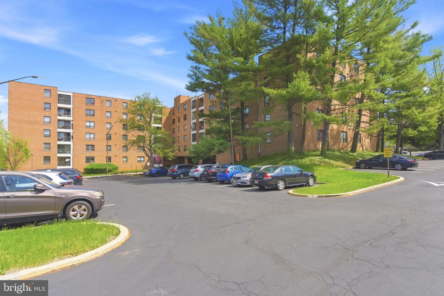 6317 Park Heights Avenue #204 photo 1