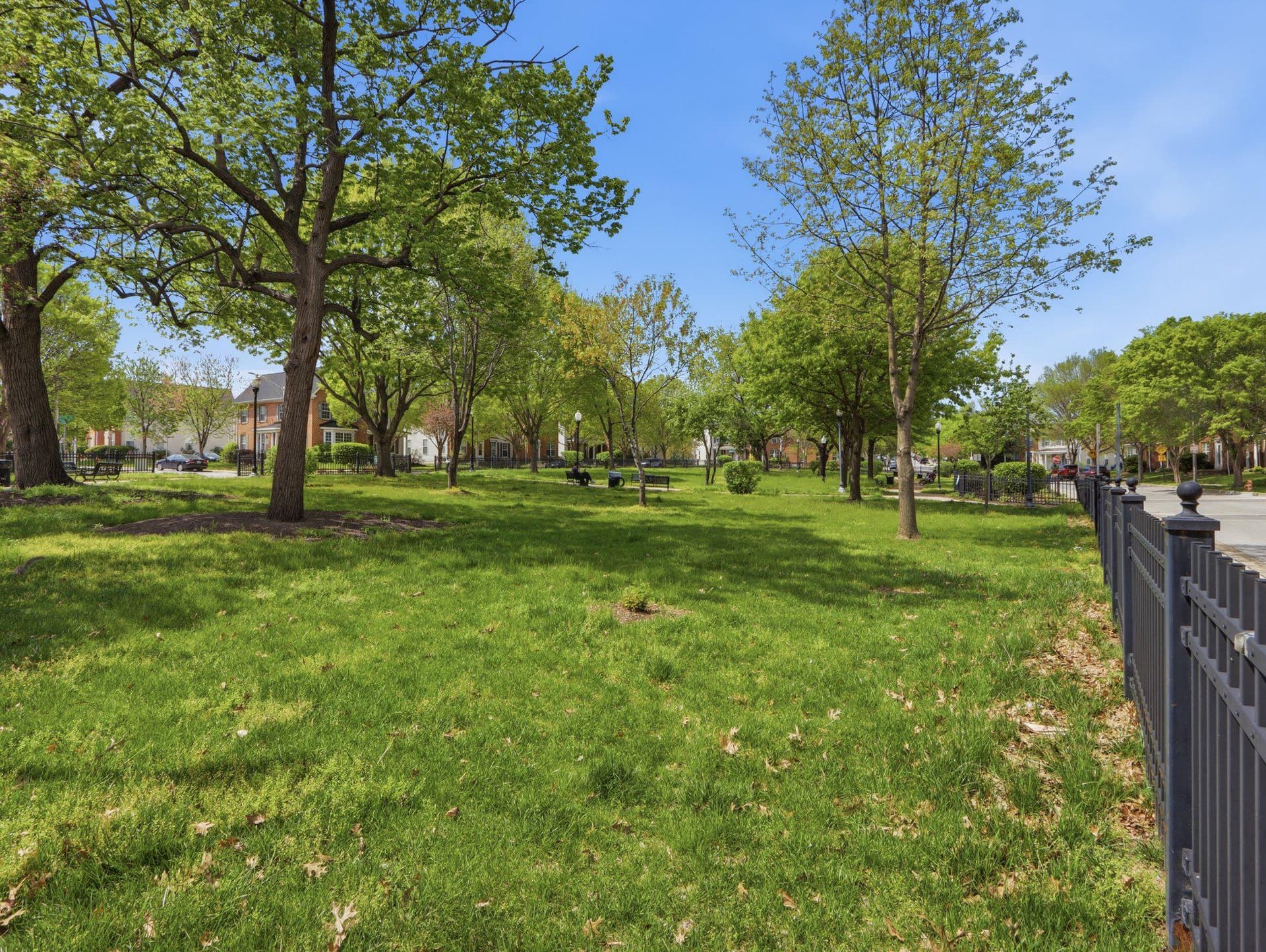 907 Myrtle Avenue photo 4