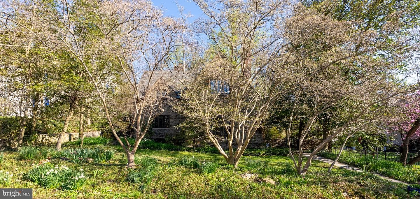 224 Tunbridge Road photo 58