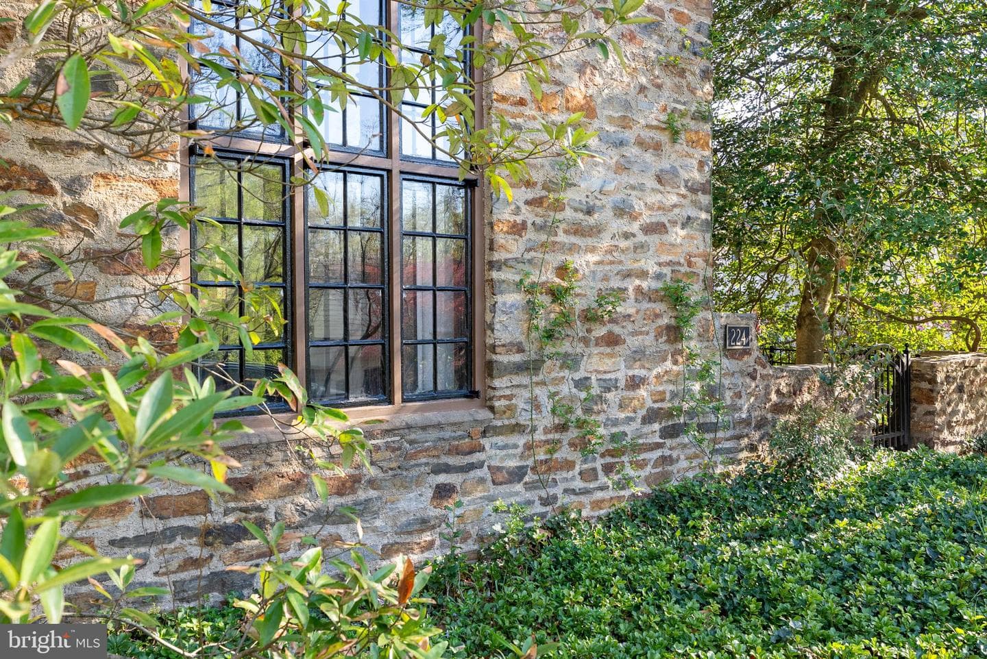 224 Tunbridge Road photo 60