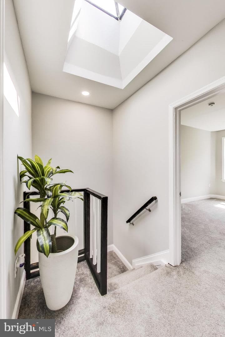 2807 Waldorf Avenue photo 19