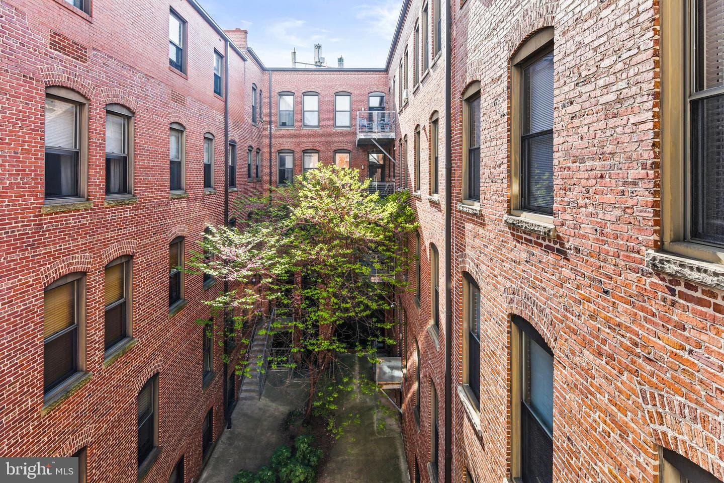 1211 Light Street #308 photo 18