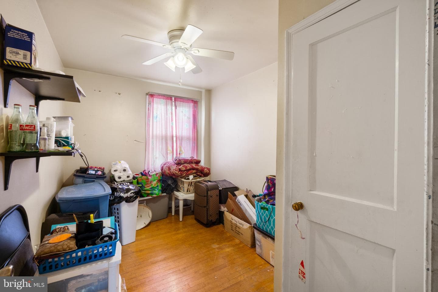 3564 Elmora Avenue photo 16