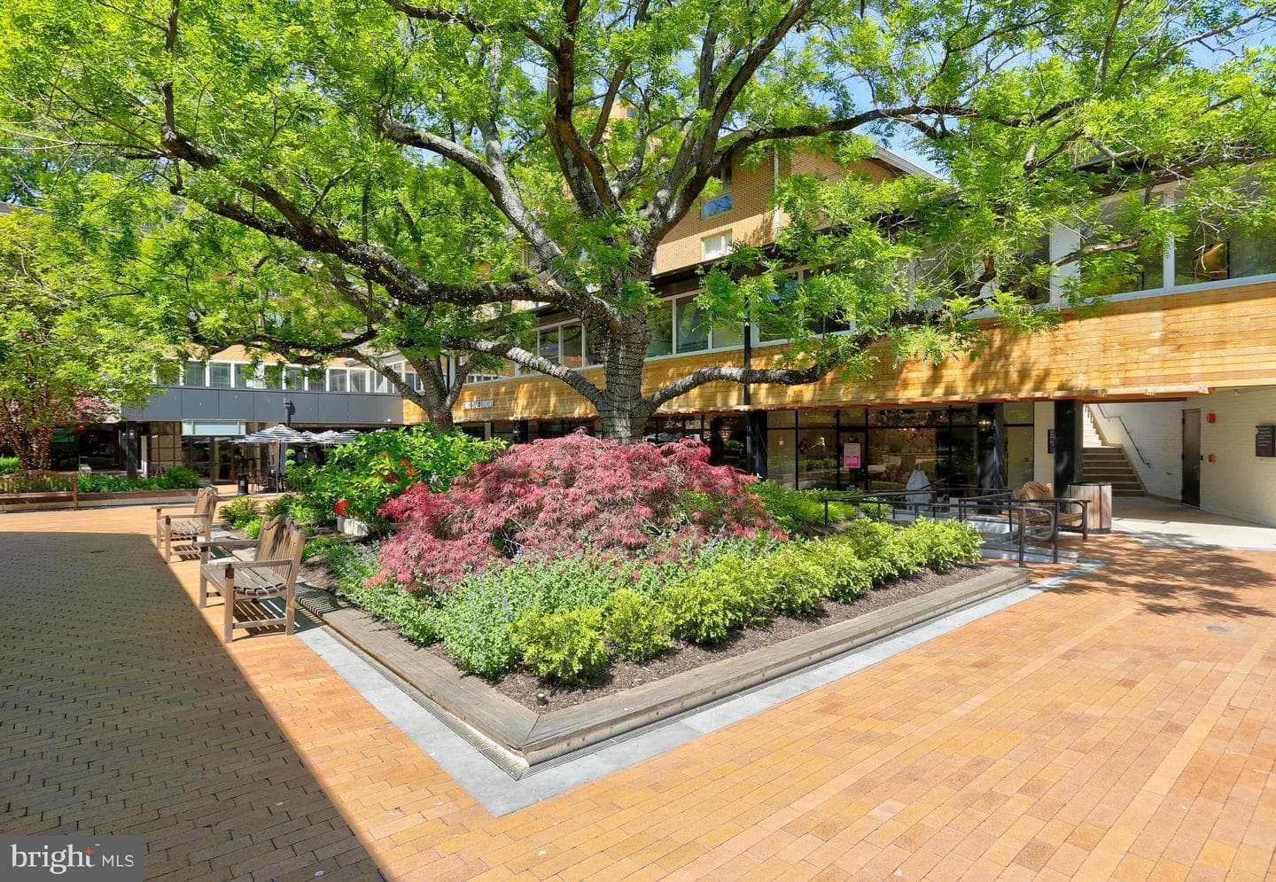 8 Cross Keys Road #8f photo 43