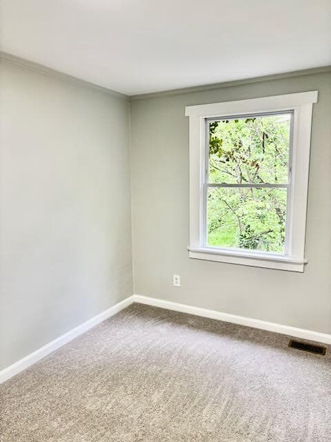 3013 Elizabeth Avenue photo 8