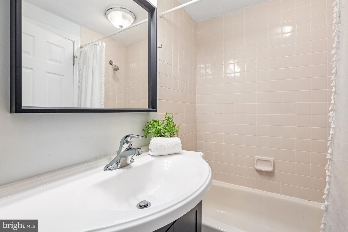 32 W Montgomery Street #f photo 11
