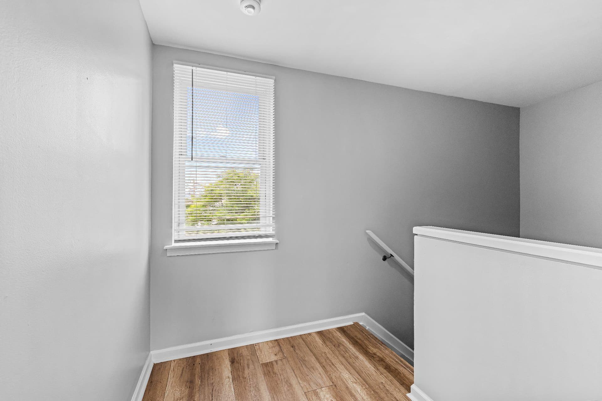 1123 Hollins St photo 34