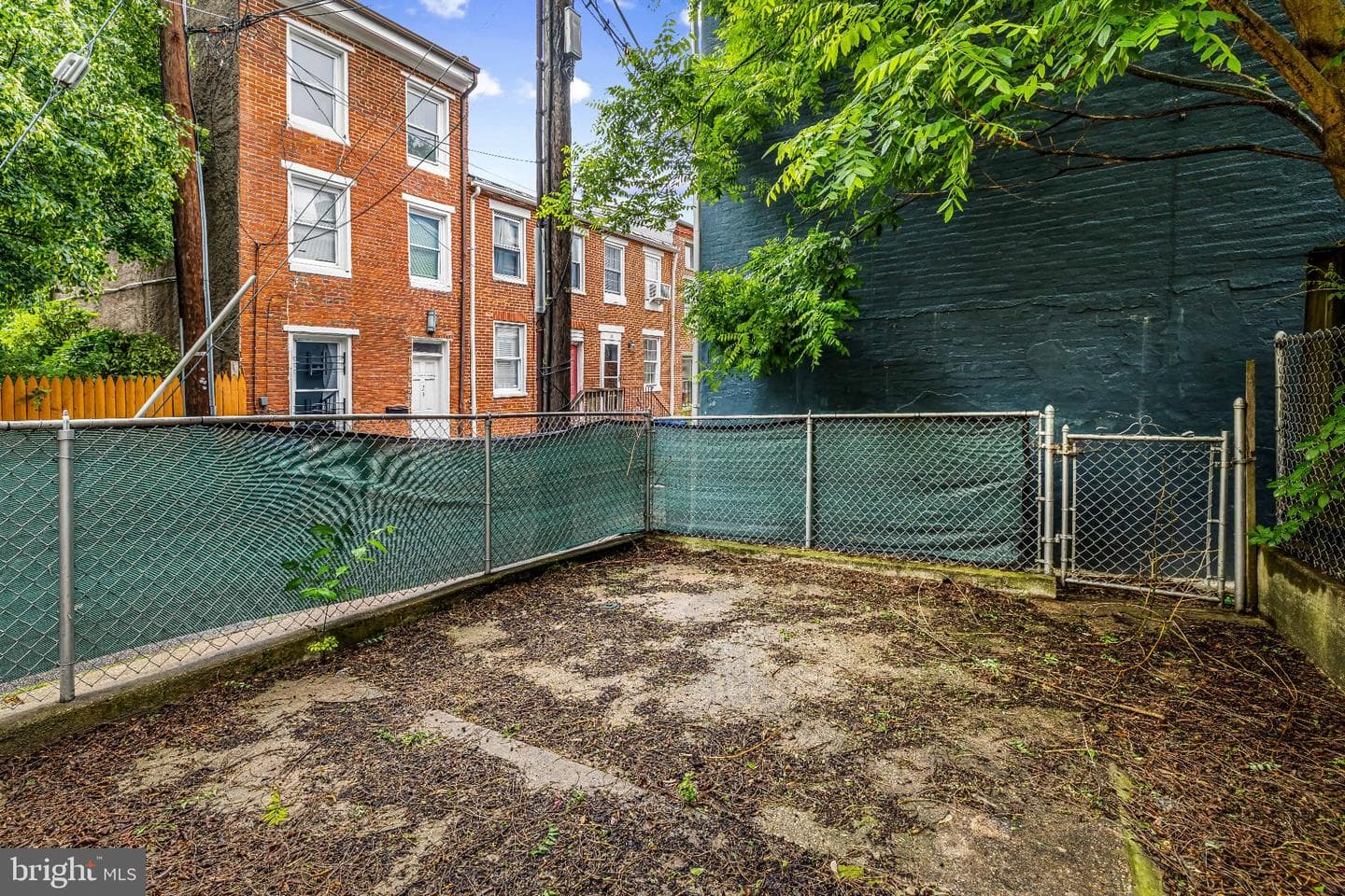 1123 Hollins St photo 38
