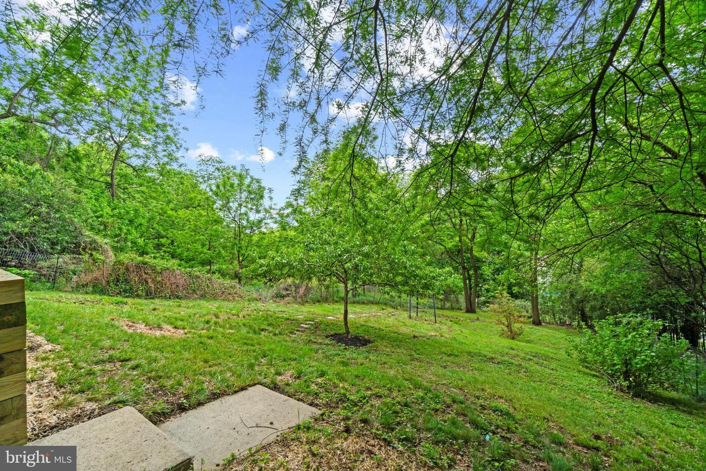 2273 Park Hill Avenue photo 34