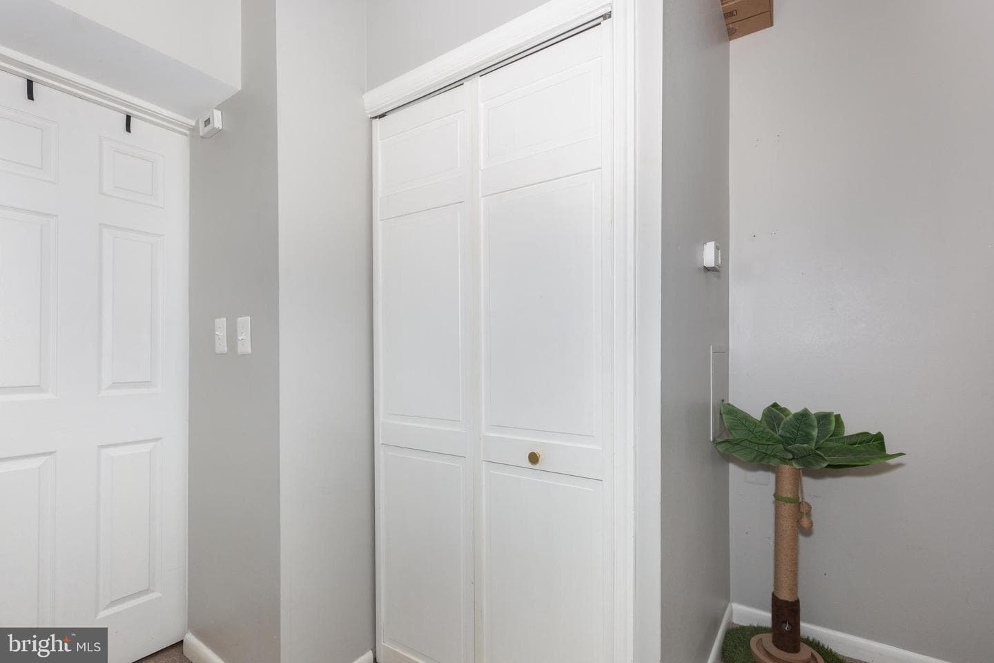 1217 S Clinton Street photo 22
